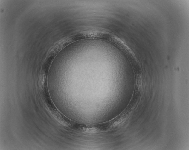 X0000083570645200702231631