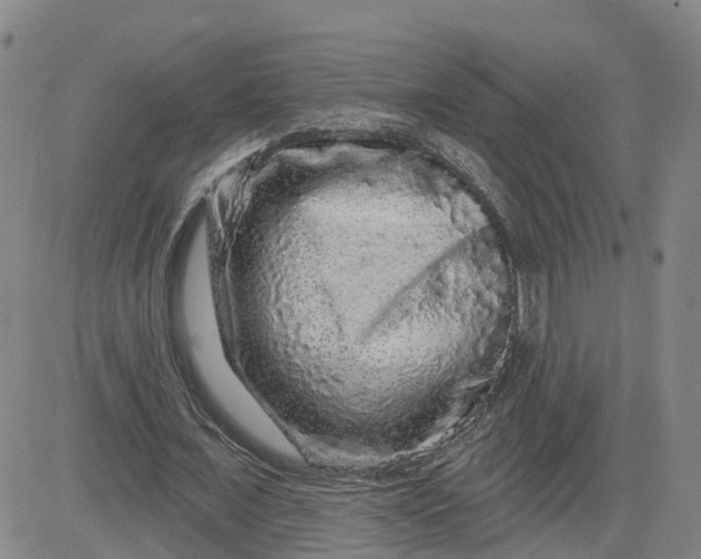 X0000083570675200702231630
