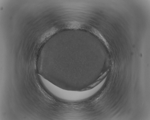 X0000083570681200702231630
