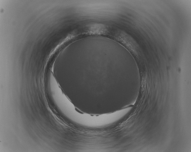 X0000083570722200702231629