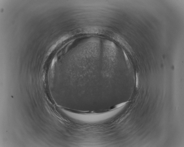 X0000083570723200702231629