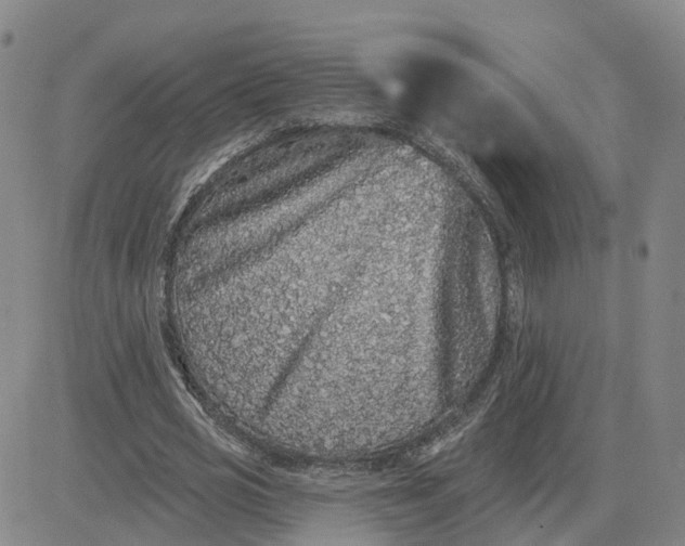 X0000083570725200702231629