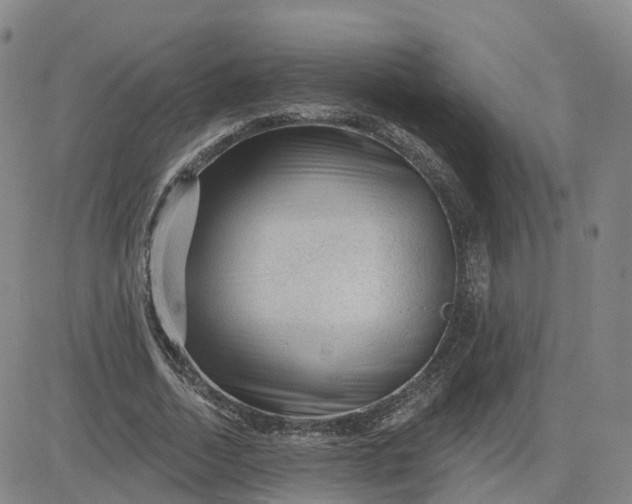 X0000083570730200702231629