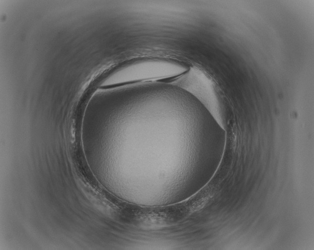 X0000083570731200702231629