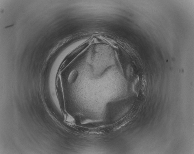 X0000083570734200702231629