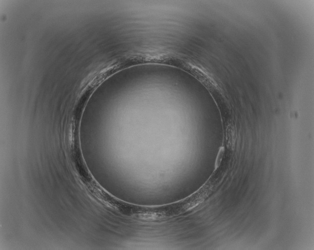 X0000083570740200702231629