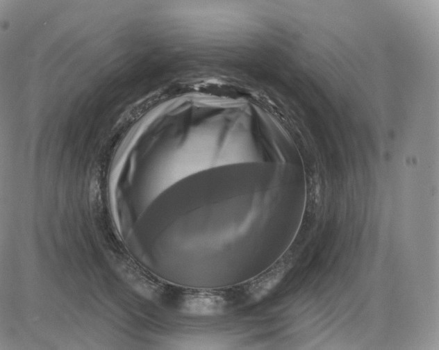 X0000083570754200702231629