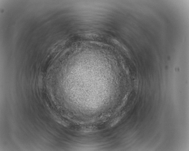 X0000083570757200702231629
