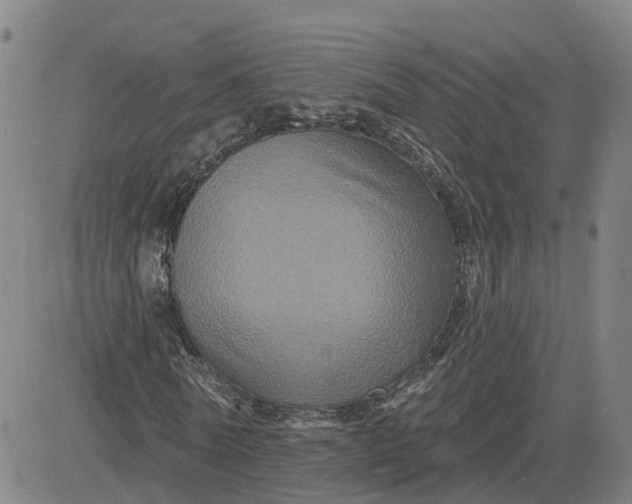 X0000083570770200702231629