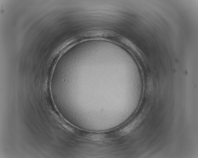 X0000083570778200702231628