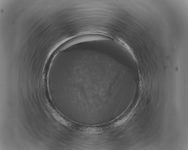 X0000083570779200702231628