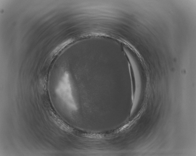 X0000083570785200702231628