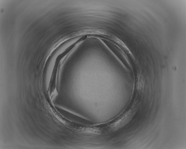 X0000083570786200702231628