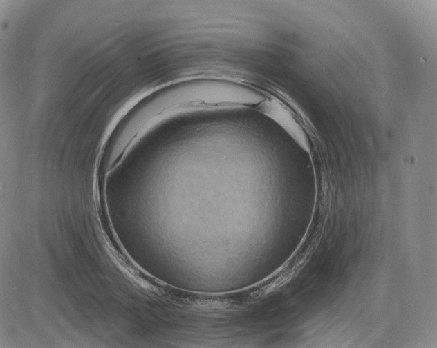X0000083570788200702231628