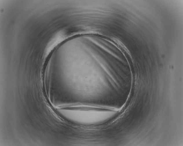 X0000083570789200702231628