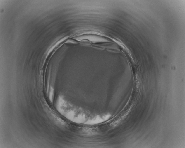 X0000083570790200702231628