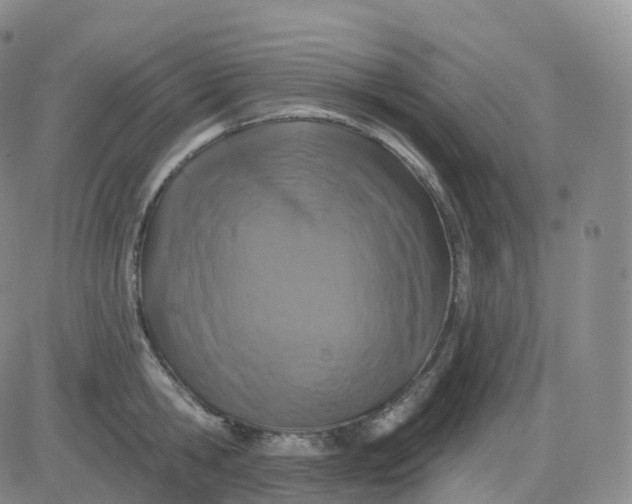 X0000083570806200702231628