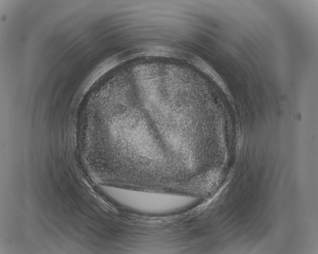 X0000083570829200702231627