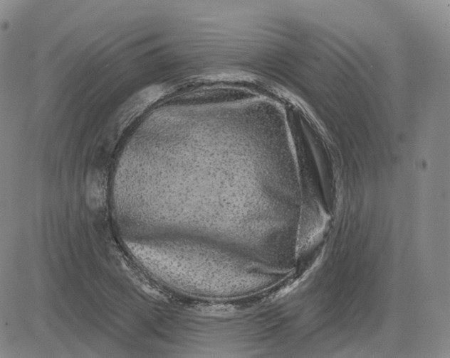 X0000083570833200702231627
