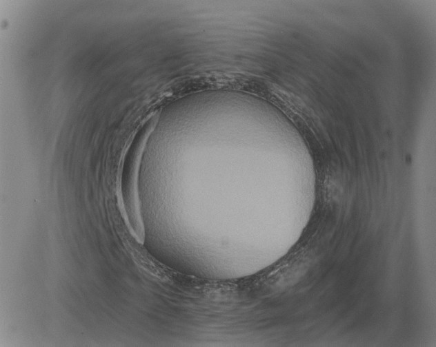 X0000083570865200702231627