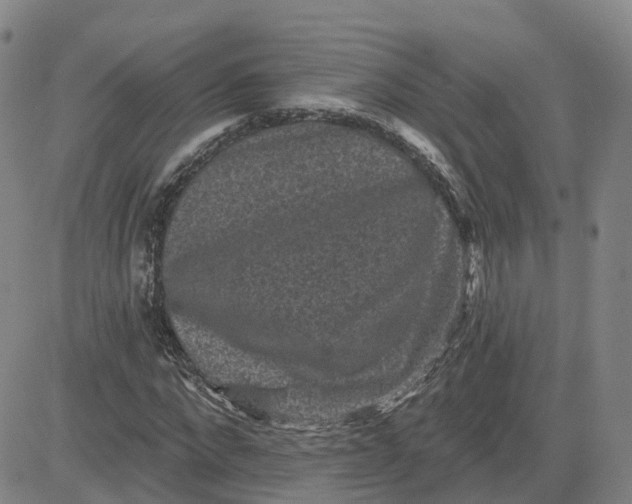 X0000083570872200702231627