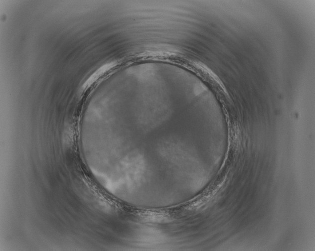 X0000083570874200702231627