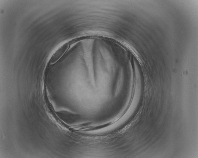 X0000083570888200702231627