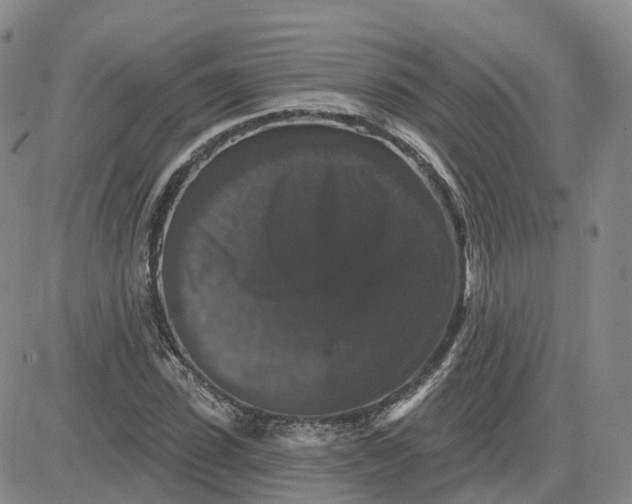 X0000083570923200702231626
