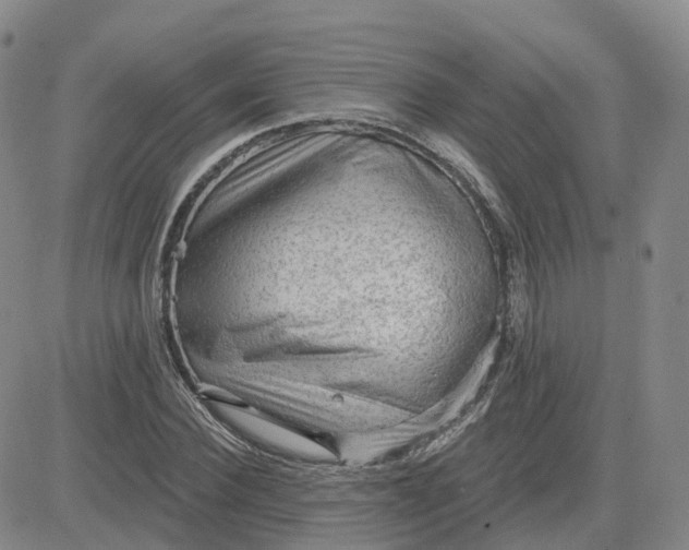 X0000083570924200702231626