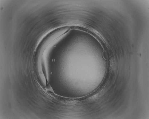 X0000083570926200702231626