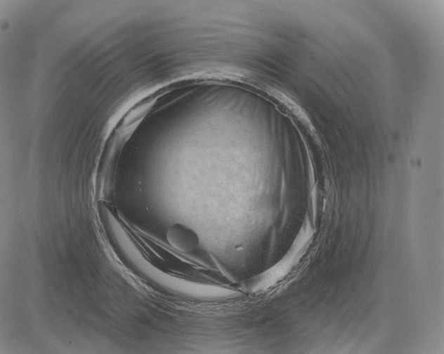 X0000083570936200702231626