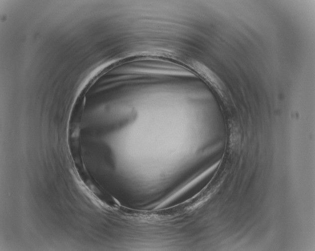 X0000083570940200702231626