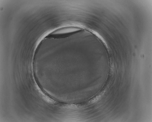 X0000083570943200702231626