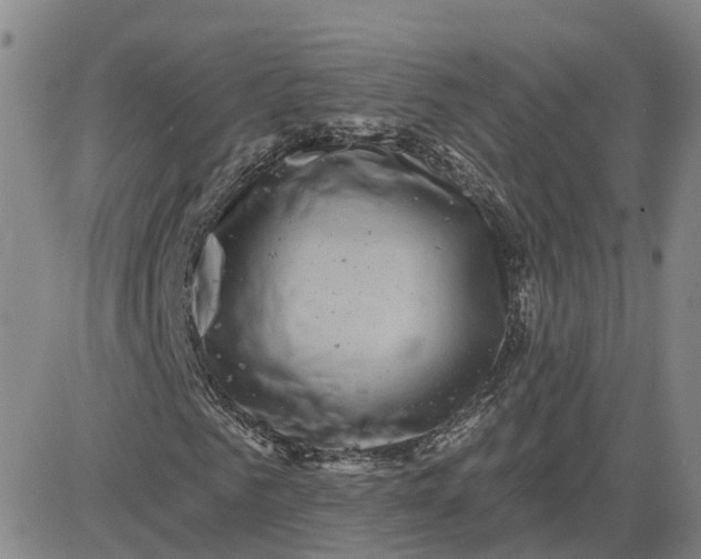 X0000083570961200702231625