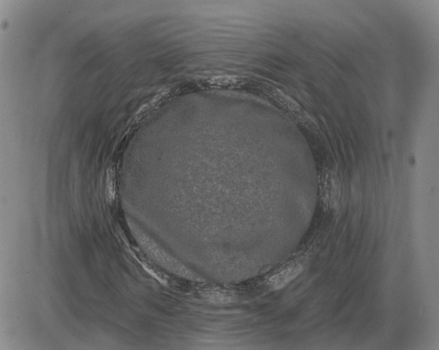 X0000083570962200702231625