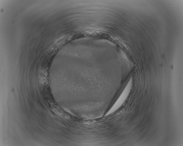 X0000083570964200702231625