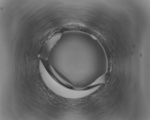 X0000083570965200702231625