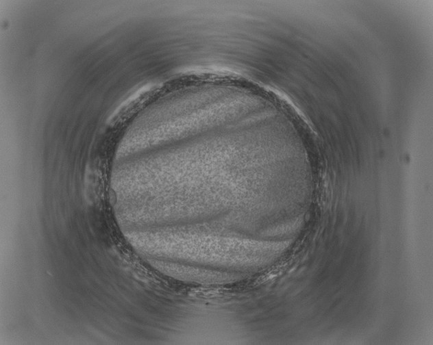 X0000083570967200702231625
