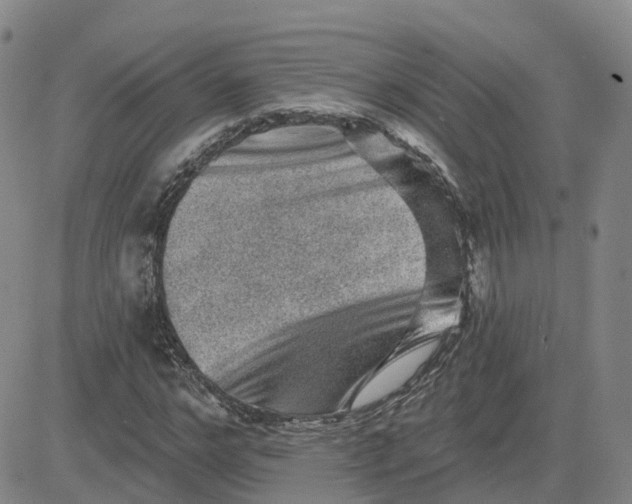 X0000083570968200702231625