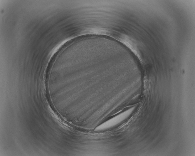 X0000083570972200702231625