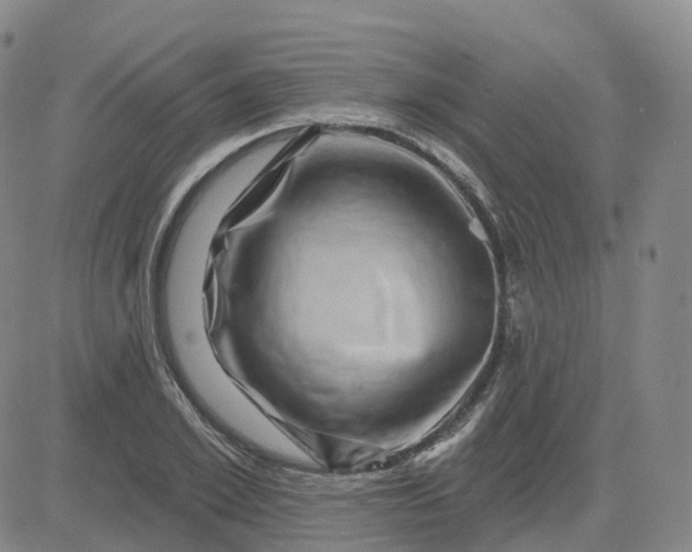 X0000083570981200702231625
