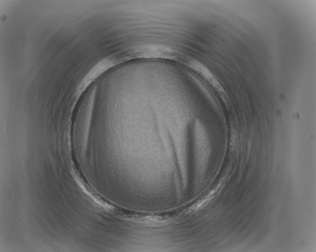 X0000083570986200702231625