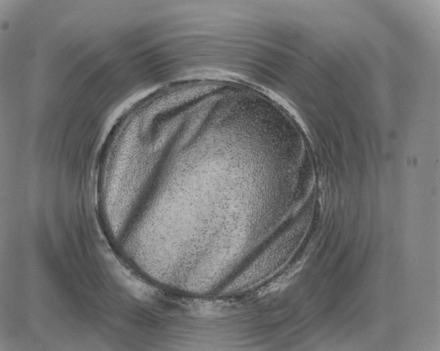 X0000083570987200702231625