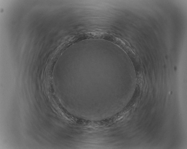 X0000083571009200702231624