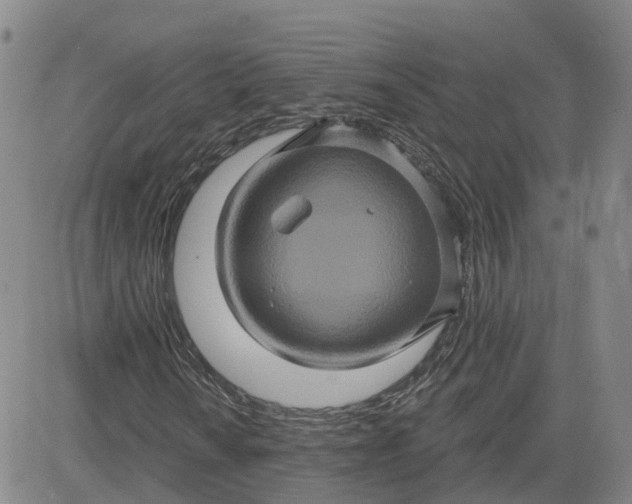 X0000083571010200702231624