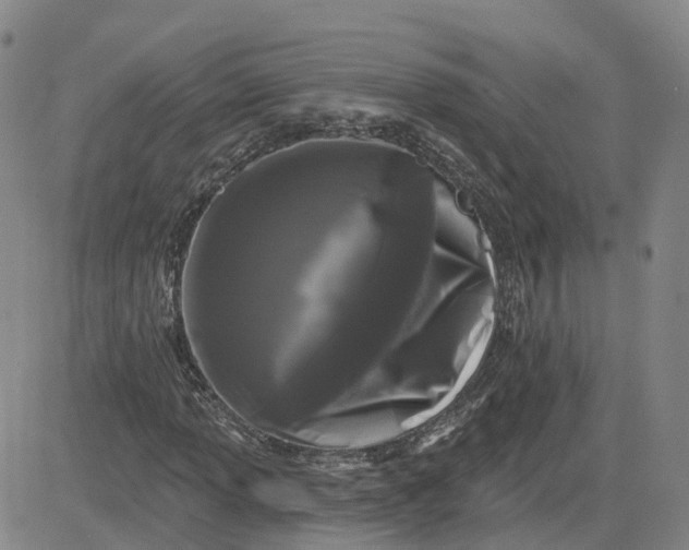 X0000083571013200702231624