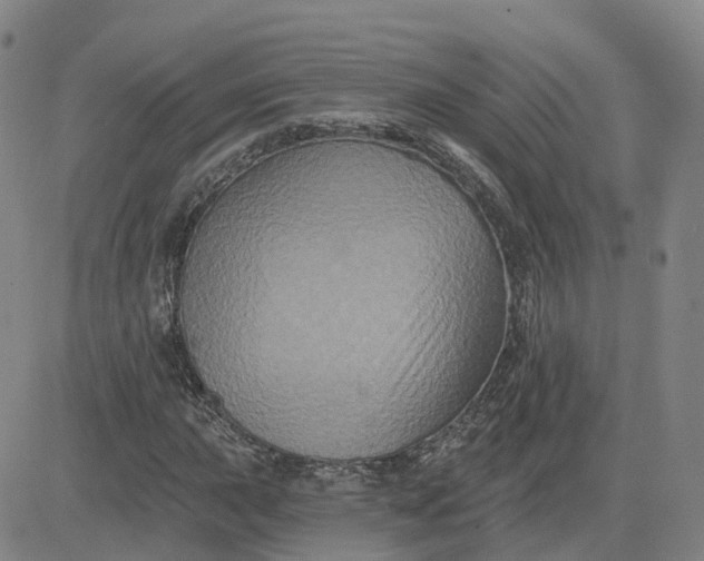 X0000083571015200702231624