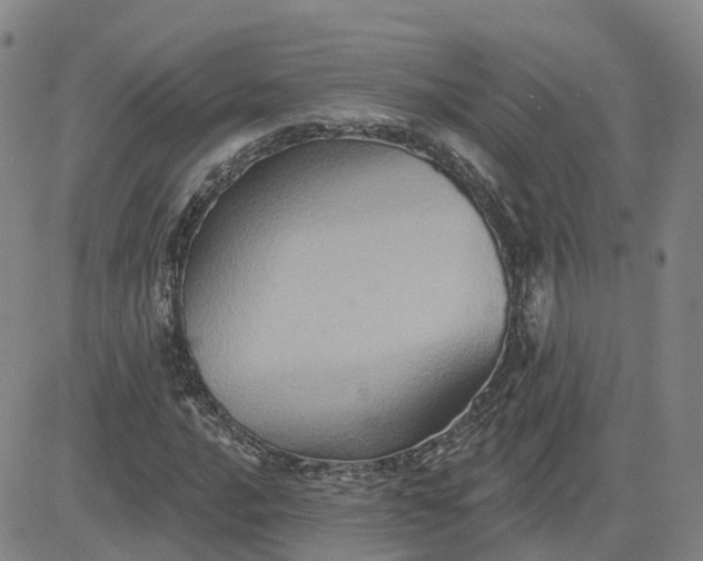 X0000083571016200702231624