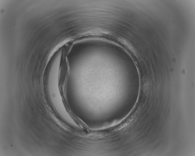 X0000083571026200702231624