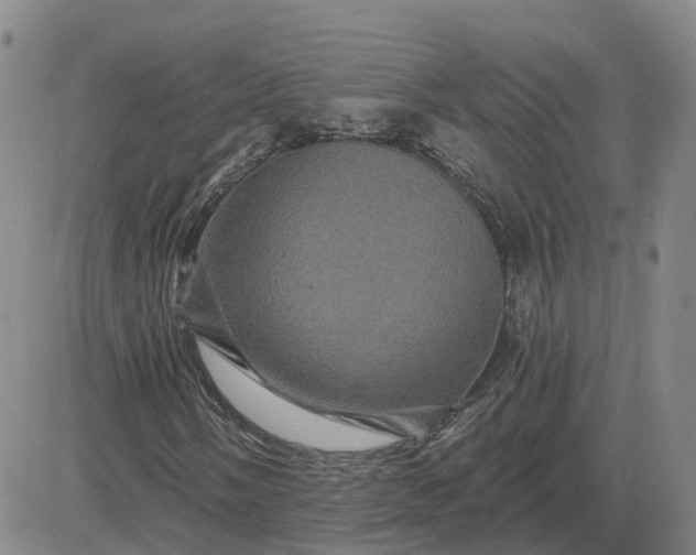 X0000083571058200702231624